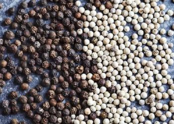 Ramuan Ketumbar dan Lada Hitam dapat Menguatkan Ginjal dan Lambung