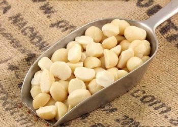 Manfaat Kacang Macadamia untuk Mempercantik Kulit