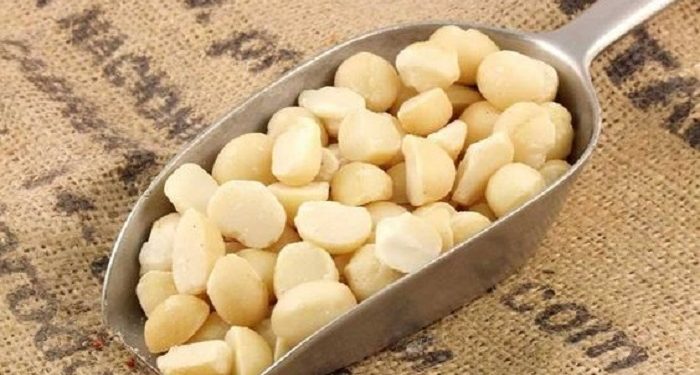 Manfaat Kacang Macadamia untuk Mempercantik Kulit