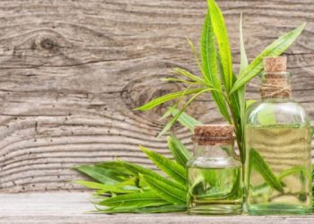 Apakah Minyak Kayu Putih Membatalkan Badal Umroh