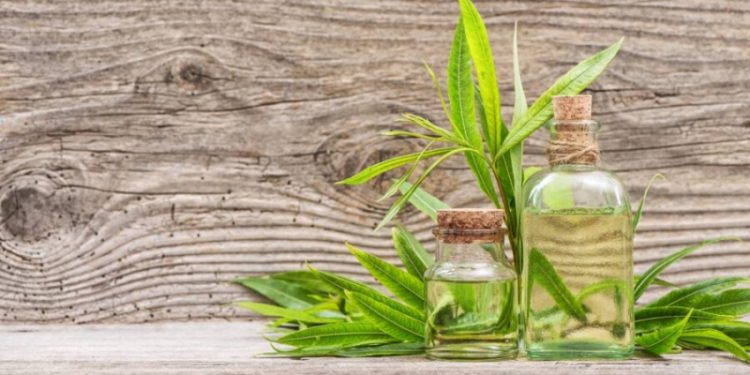 Apakah Minyak Kayu Putih Membatalkan Badal Umroh