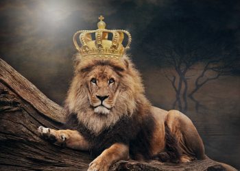 Cacat Raja Bijaksana