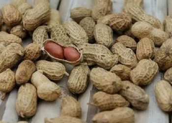 Masker Minyak Kacang Tanah dapat Digunakan Sebagai Anti-Aging