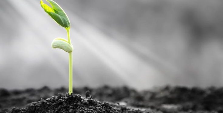 Menanamkan Iman, Agar Kehidupan Aman, Nyaman dan Tenteram