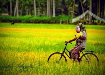 Harta yang Membawa Kebahagiaan Keluarga