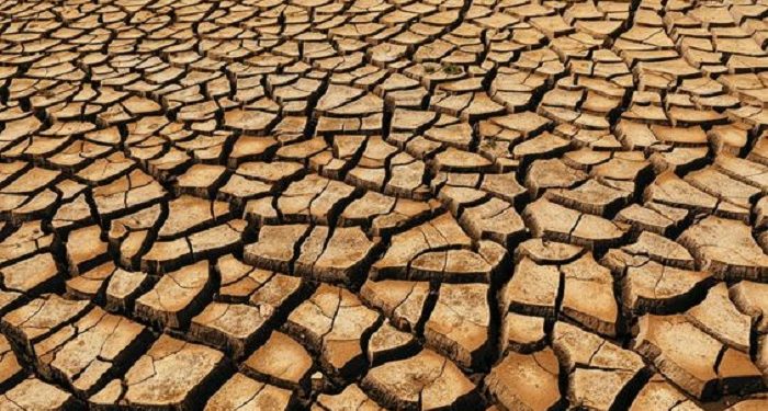 Suhu Bumi Tahun 2024 Meningkat Lebih dari 1.5 Derajat Celsius