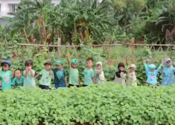 Green Day TK JISc Hari Kedua Mengunjungi Kebun Sayur Billymoon