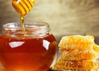 Madu jadi Sumber Daya Pembunuh Bakteri yang Ampuh