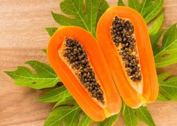 Masker Pepaya Dapat Meremajakan Lapisan Dermis Dalam Kulit