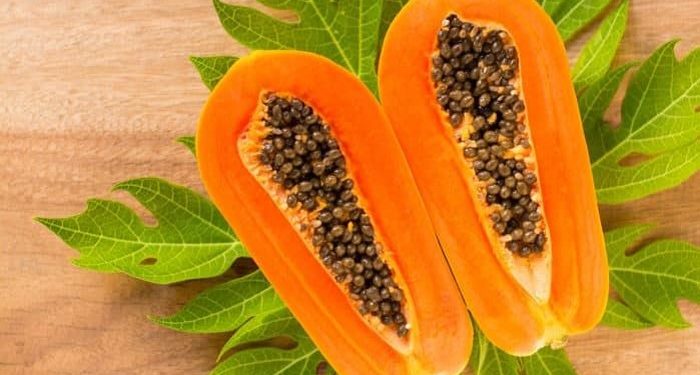 Masker Pepaya Dapat Meremajakan Lapisan Dermis Dalam Kulit