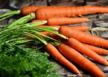 Masker Wortel dapat Melembutkan Kulit dan Lebih Bersinar