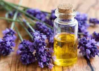 Tujuh Minyak Esensial untuk Mengelola Gejala Psoriasis