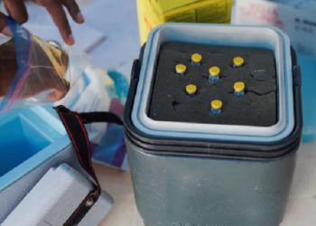 WHO Mempertahankan Kewaspadaan Terhadap Mpox di Tengah Lonjakan Kasus