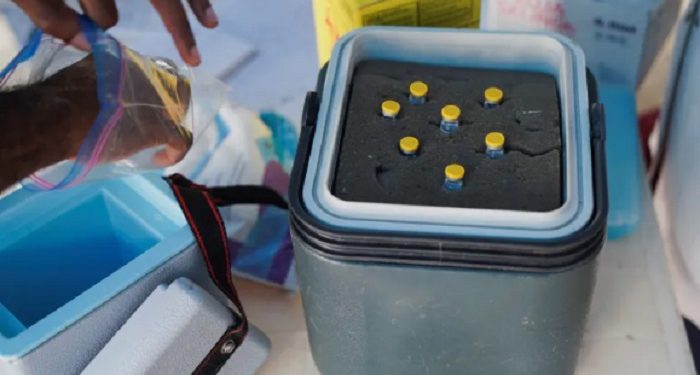 WHO Mempertahankan Kewaspadaan Terhadap Mpox di Tengah Lonjakan Kasus