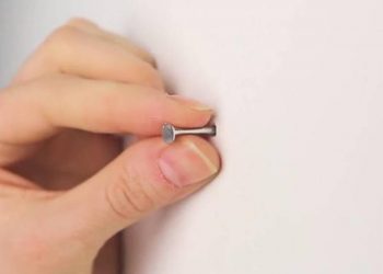 Seperti Paku Nancap di Tembok