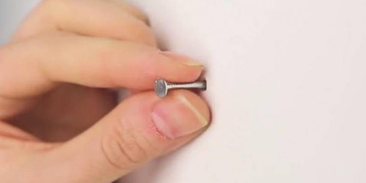 Seperti Paku Nancap di Tembok