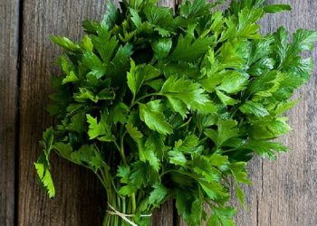 Lima Cara Kreatif Mencampur Parsley dalam Masakan