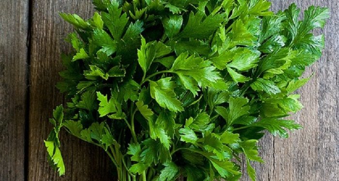 Lima Cara Kreatif Mencampur Parsley dalam Masakan