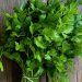 Lima Cara Kreatif Mencampur Parsley dalam Masakan