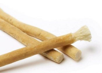 Memiliki Banyak Keunggulan, Nabi Gunakan Miswak Sebelum Setiap Shalat