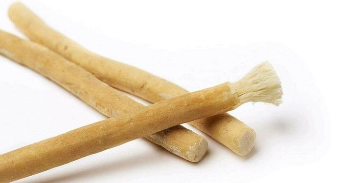Memiliki Banyak Keunggulan, Nabi Gunakan Miswak Sebelum Setiap Shalat