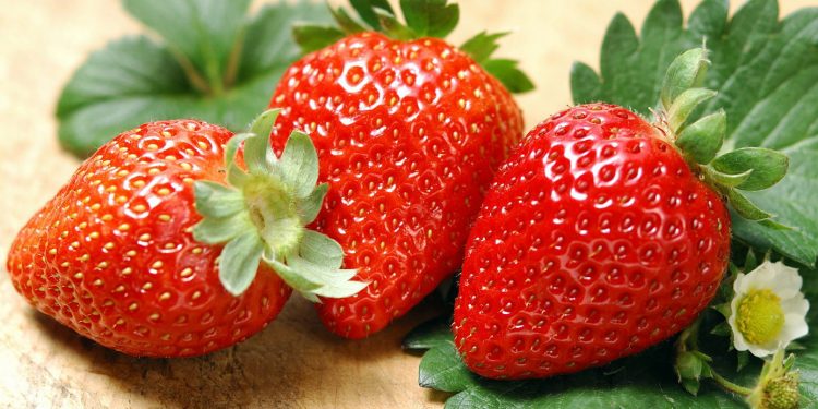 Hati-hati Generasi Stroberi