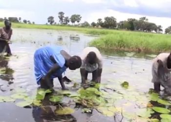 Lebih dari 370 Ribu Orang Mengungsi Akibat Banjir di Sudan