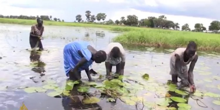 Lebih dari 370 Ribu Orang Mengungsi Akibat Banjir di Sudan