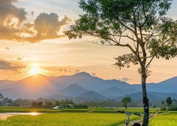 Kekuatan Irodah Allah (2)