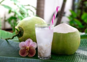 Kenali Manfaat Minum Air Kelapa Sebelum Olahraga