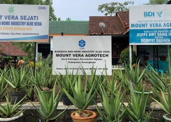 Rumah Industri dan Budidaya Aloe Vera telah Memberdayakan Ekonomi Masyarakat Gunung Kidul