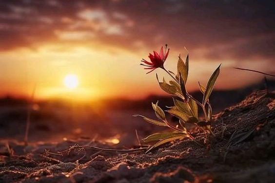 Macam-Macam Kesabaran