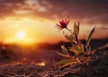 Macam-Macam Kesabaran