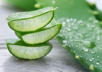 Bahan-Bahan yang Perlu Diperhatikan pada Komposisi Krim Tangan