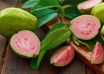 Simak Tujuh Buah dengan Kadar Gula yang Rendah