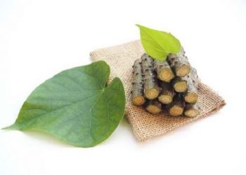 Kunyit Putih dan Daun Brotowali dapat Dijadikan Bedak Jerawat