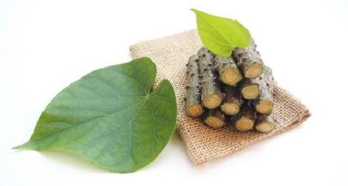 Kunyit Putih dan Daun Brotowali dapat Dijadikan Bedak Jerawat