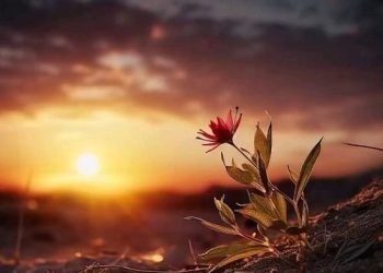 Kekuatan Irodah Allah (1)