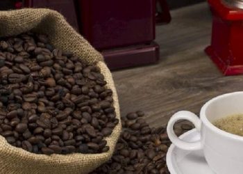 Kopi Arabika Gayo Indonesia Masuk Dalam 10 Biji Kopi Terenak di Dunia Versi Taste Atlas