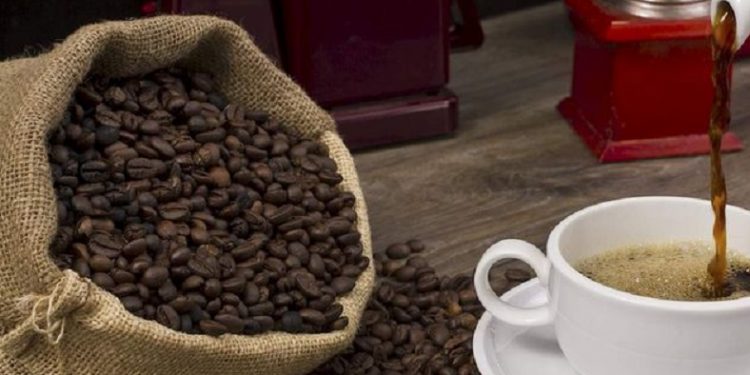 Kopi Arabika Gayo Indonesia Masuk Dalam 10 Biji Kopi Terenak di Dunia Versi Taste Atlas