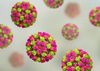 Kasus Norovirus Meningkat di Berbagai Bagian Amerika Serikat