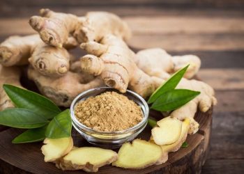 Lima Rekomendasi Obat Panas Dalam Alami yang Ampuh