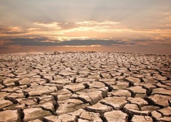 Menanggapi Kekeringan, Konvensi PBB di Arab Saudi Tanpa Kesepakatan Serius