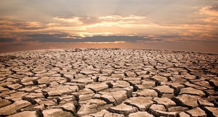 Menanggapi Kekeringan, Konvensi PBB di Arab Saudi Tanpa Kesepakatan Serius