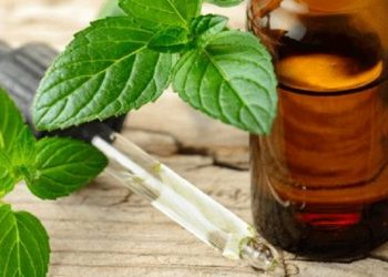 Kenali Manfaat Peppermint untuk Mata Panda