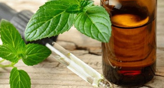 Kenali Manfaat Peppermint untuk Mata Panda