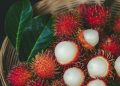 Delapan Penyakit yang Bisa Diobati dan Dicegah dengan Buah Rambutan