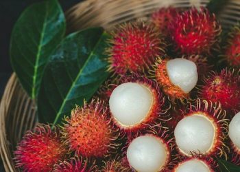 Delapan Penyakit yang Bisa Diobati dan Dicegah dengan Buah Rambutan