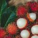 Delapan Penyakit yang Bisa Diobati dan Dicegah dengan Buah Rambutan