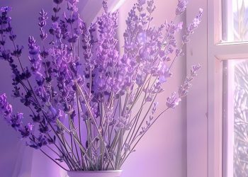 Beberapa Tanaman Hias yang Bisa Meningkatkan Kualitas Tidur